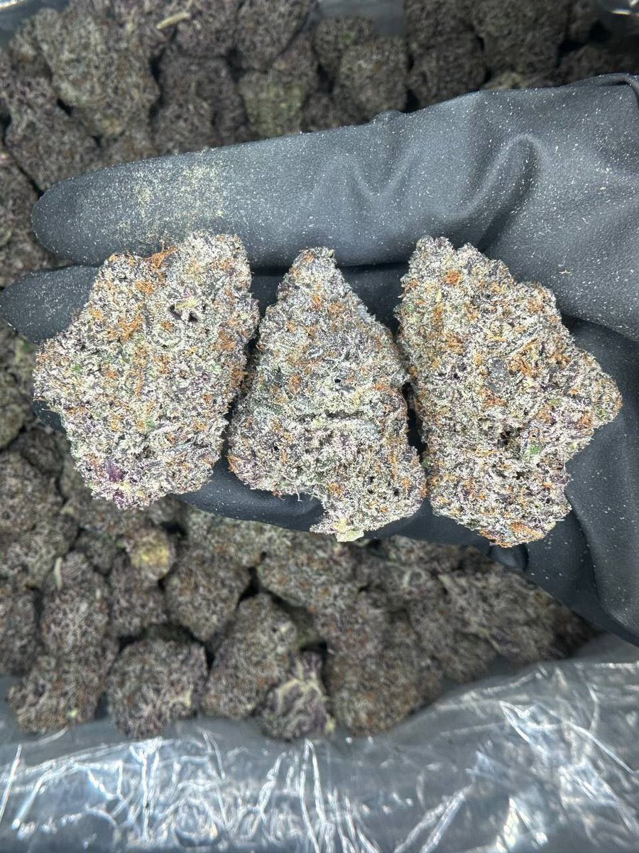 smithleaf420 tweet picture