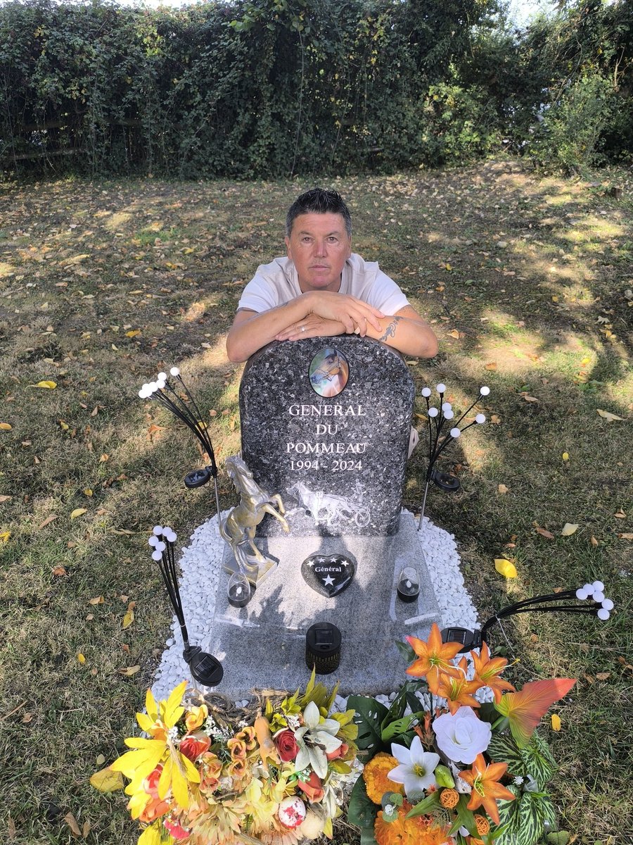 royaldream62's tweet photo. @EricHoorelbecke @CharlyMilpied Tu étais a 500 m du haras gènes diffusion tu aurais pu aller saluer le général 🧡🤍 https://t.co/O7m2CO4WJ1