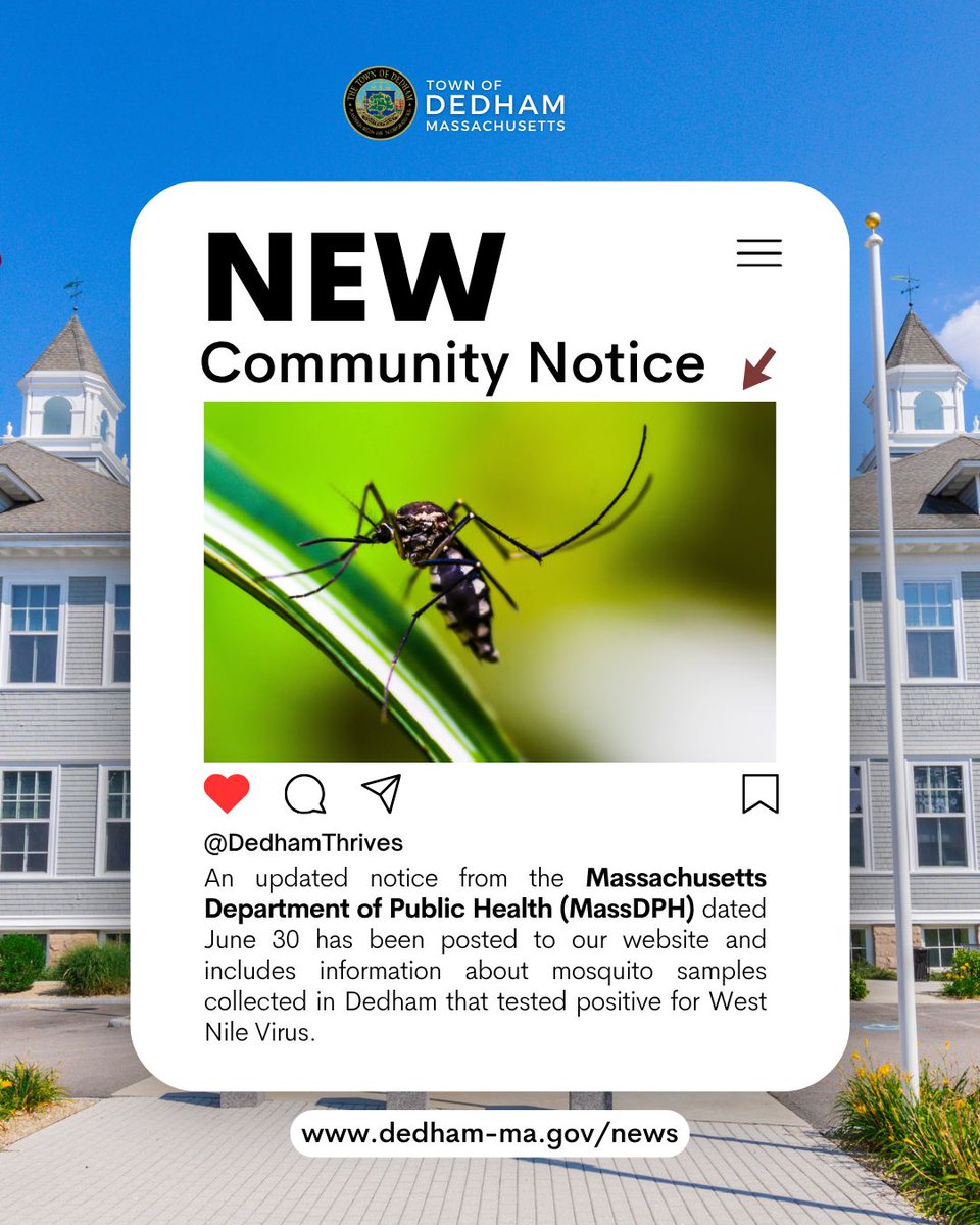 DedhamThrives's tweet photo. MDPH reports West Nile Virus in a routine mosquito sample from Dedham. Risk remains LOW.
We’re working with Norfolk County Mosquito Control on weekly sampling, ULV spraying, catch‑basin treatments, and removing stagnant water.

Keep reading ⬇️ https://t.co/pEI4mXrjVr