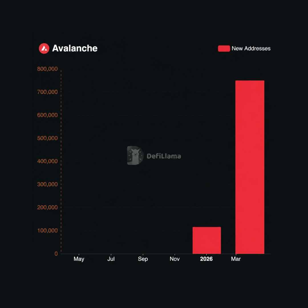 MSBIntel's tweet photo. BREAKING: Avalanche new addresses jumped 6.4x in Q2 to 744,318. https://t.co/iaW7CtBjnp