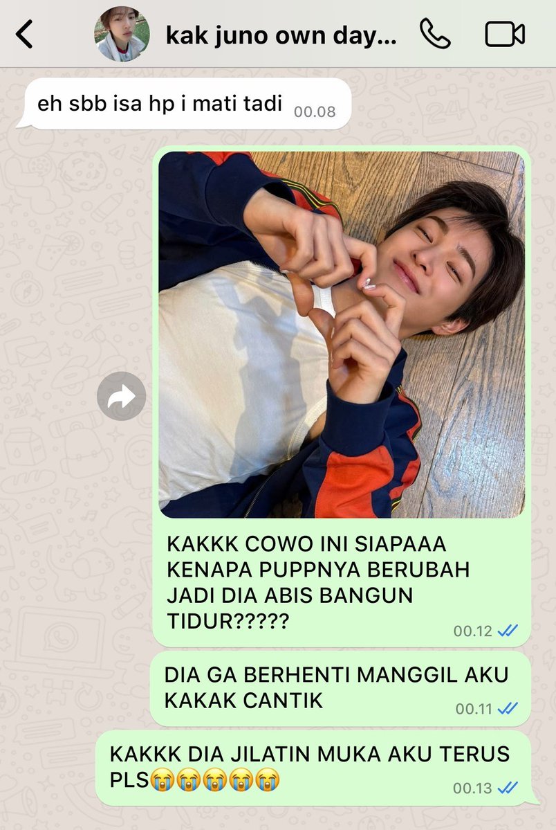 Lumpruy's tweet photo. #Keonhyeon au (0)
isa terkejud ternyata puppy yg dia adopsi adalah dd kono yaitu hybrid https://t.co/jMMkWDM1zy