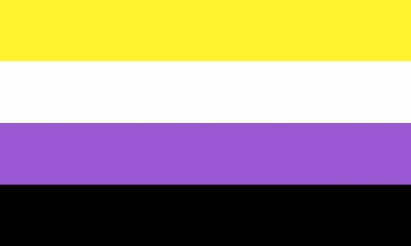 IsabelleBo81360's tweet photo. Nonbinary, 7/10. Don't know what nonbinary means but I like the flag. Black and white AND yellow and purple is such a stand off move and she ate. https://t.co/srZ0WqQvOl