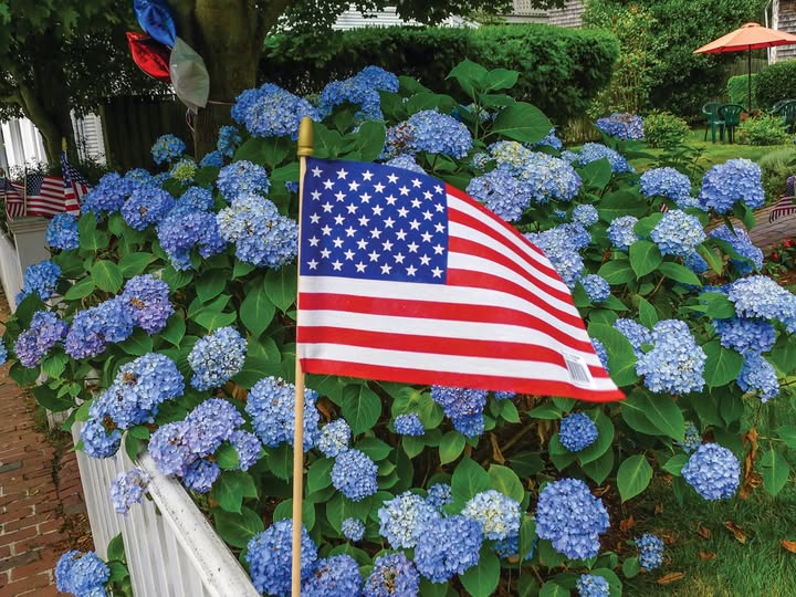 BenCastoneLand's tweet photo. Happy Fourth of July to all of our amazing customers! 🇺🇸🩵 https://t.co/tdBeQycttp