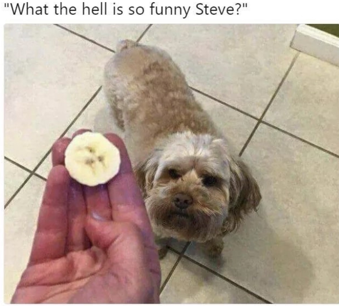 RespectfulMemes's tweet photo. https://t.co/CblHBxfqaA