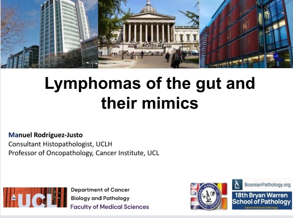 Drmerm's tweet photo. It was a real pleasure to attend the 18th Bryan Warren School of Pathology virtually this weekend.
A very enriching event, with excellent talks and valuable perspectives in gastrointestinal pathology.
#pathtwitter
#Pathology #GIPathology #xpath #BryanWarrenSchool #BDIAP https://t.co/EpCu9VbPlO
