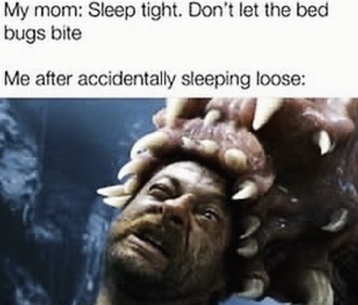 RespectfulMemes's tweet photo. https://t.co/HA4Ew9xuoZ
