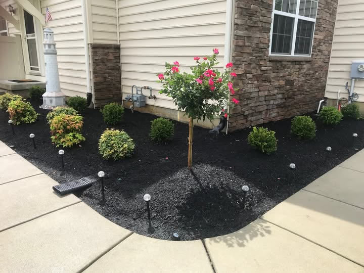 BenCastoneLand's tweet photo. We don't just maintain landscapes—we help them thrive! 🌺 https://t.co/xqT2KtXxx8