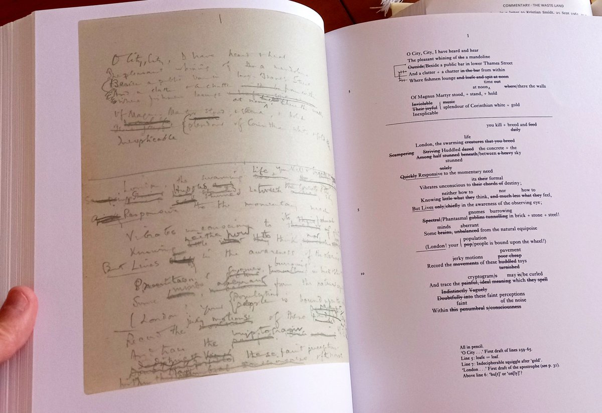 the_book_land's tweet photo. I've been spending my day with this.

Exceptional volume. https://t.co/MjW3L8mppA