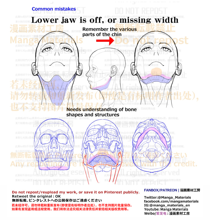 MangaMaterials2's tweet photo. PERSONAL NOTE: Lower Jaw

Structure of the Head/Face/Ear Complete version
Patreon
https://t.co/e2PbnvD2it
FANBOX
https://t.co/g4cO9zcA4W

Around the neck and the face: Tutorial summary
Patreon
https://t.co/Y8bZfrBhCv
FANBOX
https://t.co/gOI0Njktpp

#arttips https://t.co/O7Oh6Kbuqs