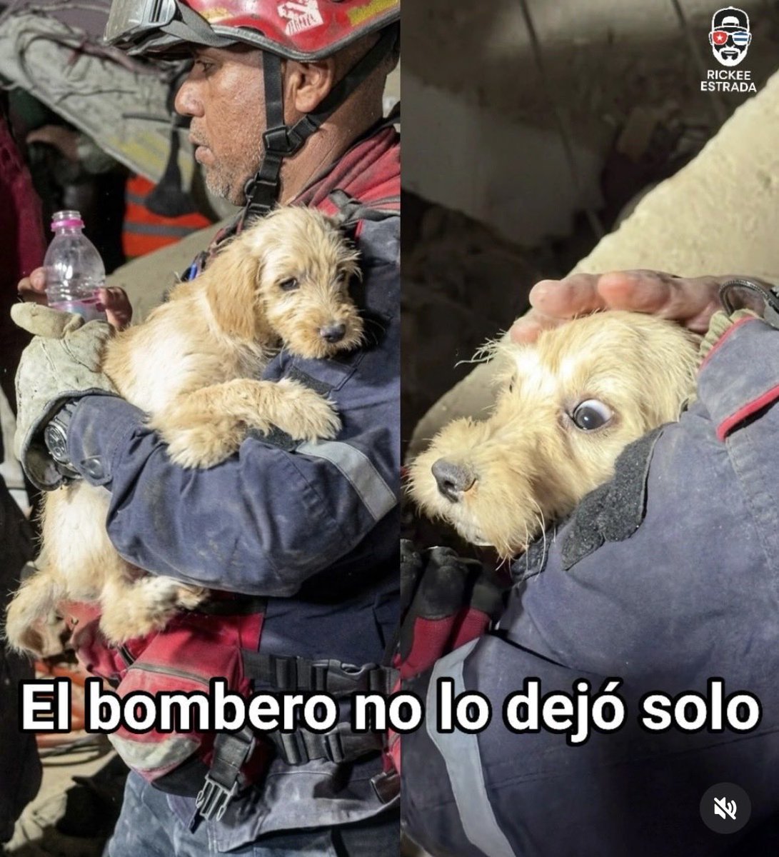 pinupseniorgirl's tweet photo. ¡¡ EL PERRITO PERDIÓ A TODA SU FAMILIA DE HUMANOS EN EL TERREMOTO SOLO SE SALVÓ EL Y EL BOMBERO Q LO RESCATÓ NO LO DEJÓ SOLO .GRACIAS ❤️ESPERO Q LO ADOPTEN Y LE DEN EL AMOR Q SE MERECE Q PENA 😭😭😭😭💔💔💔💔💔 https://t.co/UqeyzsE9hC