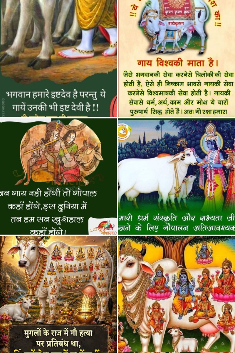 LAXMINA09's tweet photo. @ABPNews @romanaisarkhan विनोद बंसल विश्व हिंदू परिषद के प्रवक्ता हैं विश्व हिंदू परिषद बहुत व्यापक नाम है भारत में ही हिंदू नहीं बन पाए आज भी भारत के 10 राज्य असम मेघालय गोवा भाजपा शासित राज्यों में गोहत्या होती है इसका जिम्मेदार अब कौन है क्या केंद्र में अभी कांग्रेस अथवा मुगलों की सरकार है। https://t.co/ICf3AQMNso
