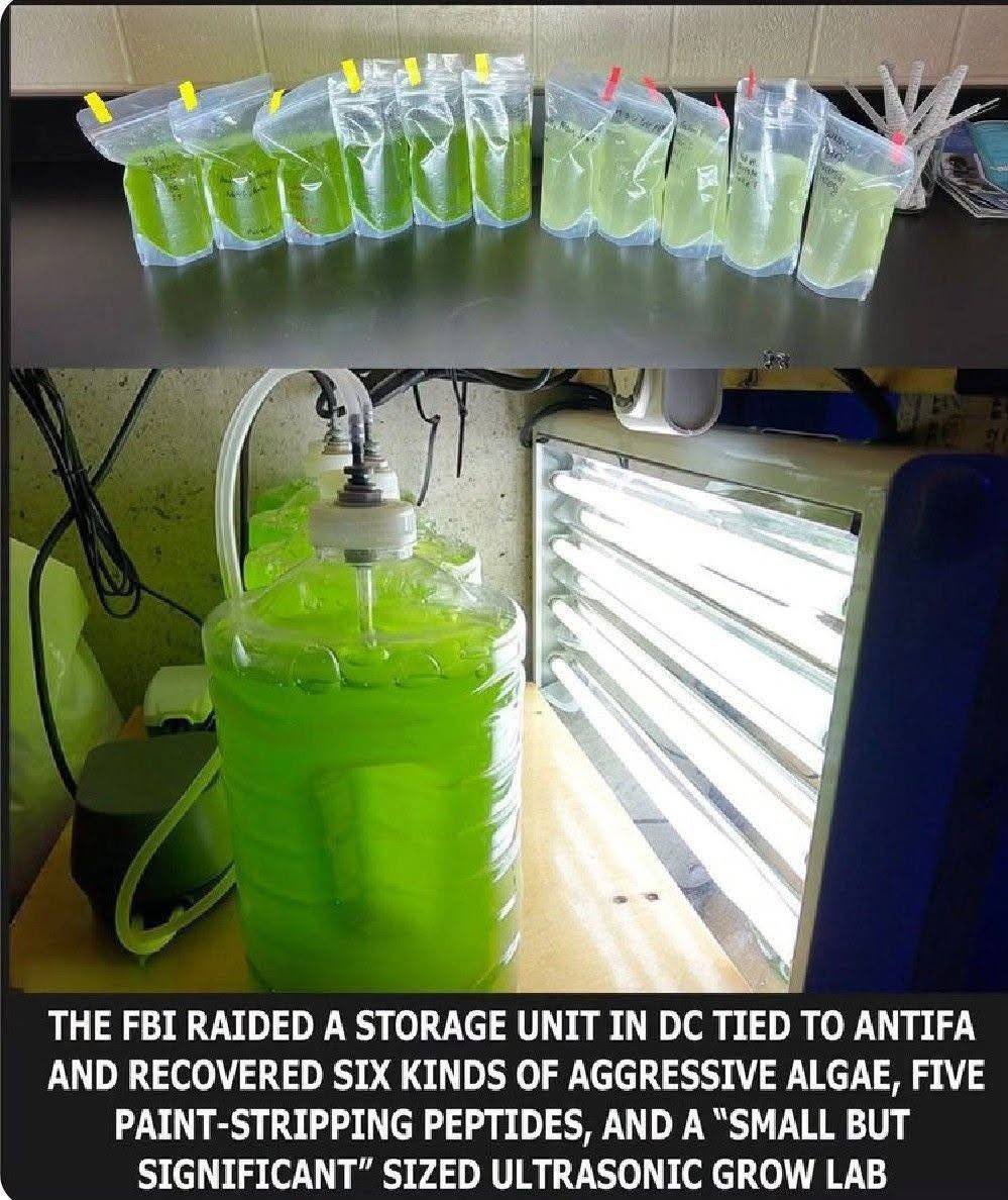 JacSarobahs's tweet photo. THEY WEREN'T DONE AFTER THE LINCOLN MEMORIAL REFLECTING POOL @JacSarobahs 

🚨FBI JUST RAIDED AN ANTIFA STORAGE UNIT IN DC AND UNCOVERED A FULL MESSED-UP CHEMICAL WEAPONS LAB — SIX DIFFERENT KINDS OF AGGRESSIVE ALGAE, FIVE PAINT-STRIPPING PEPTIDES, AND AN ULTRASONIC GROW LAB READY TO POISON THE CITY’S 46 OTHER POOLS AND FOUNTAINS!

This wasn’t some random vandalism.

The FBI raided a storage unit directly tied to Antifa and hit the jackpot: multiple strains of weaponized algae, specialized peptides designed to eat away paint and coatings, and a professional ultrasonic grow lab to mass-produce this toxic shit.

According to the evidence, these domestic terrorists had already mapped out attacks on 46 more pools and fountains across Washington D.C.

They were planning to turn the entire National Mall and surrounding areas into a toxic green nightmare.

This was never a “protest.” This was a coordinated chemical attack on America’s most sacred monuments, and they had the lab equipment, the recipes, and the manpower to keep going.

Kash Patel and the FBI just took a massive chunk out of their operation.

These Antifa terrorists are done playing games.

Share this everywhere and let every American see exactly how far these radical left scum were willing to go!

#DarkToLight