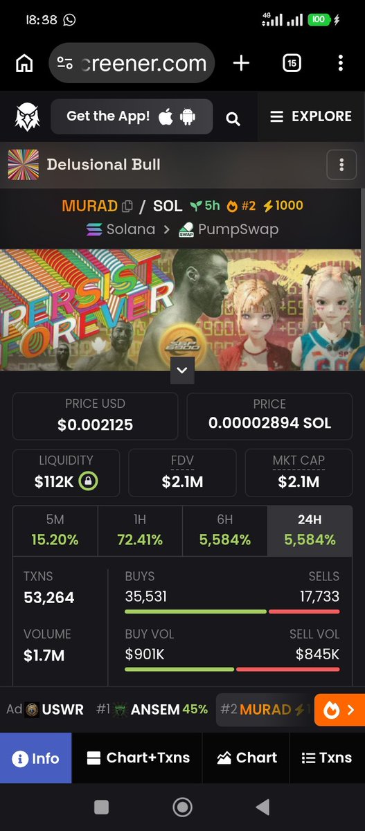BULL RUN tweet media