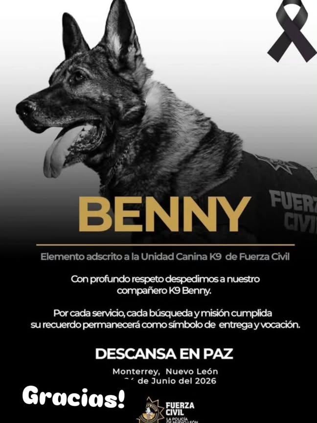paolucci40's tweet photo. En honor a BENNY, FALLECIO TRAS UNA CAIDA MIENTRAS BUSCABA SALVAR VIDAS EN VENEZUELA. 
Perteneciente al grupo de rescatistas Topos  de Mexico
GRACIAS BENNY https://t.co/JzX36RO0ij