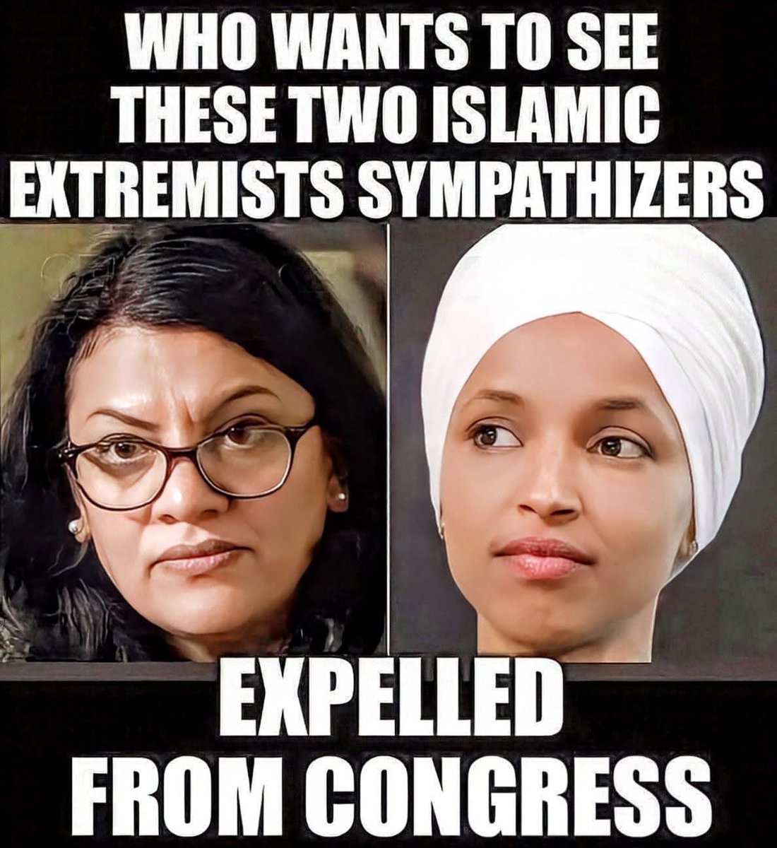 Pixie1z's tweet photo. Who else wants them out of Congress and out of our country? https://t.co/QaD8P8GmiG