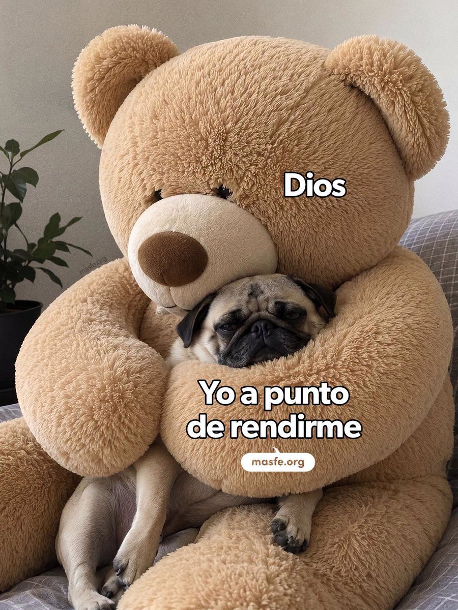 Masfe_org's tweet photo. Si hoy estás a punto de rendirte...
Este puede ser el recordatorio que necesitabas: Dios nunca abandona a quienes siguen confiando en Él, incluso cuando ya no les quedan fuerzas.
#masfe #rendirse #perseverar https://t.co/OUKYma7nab