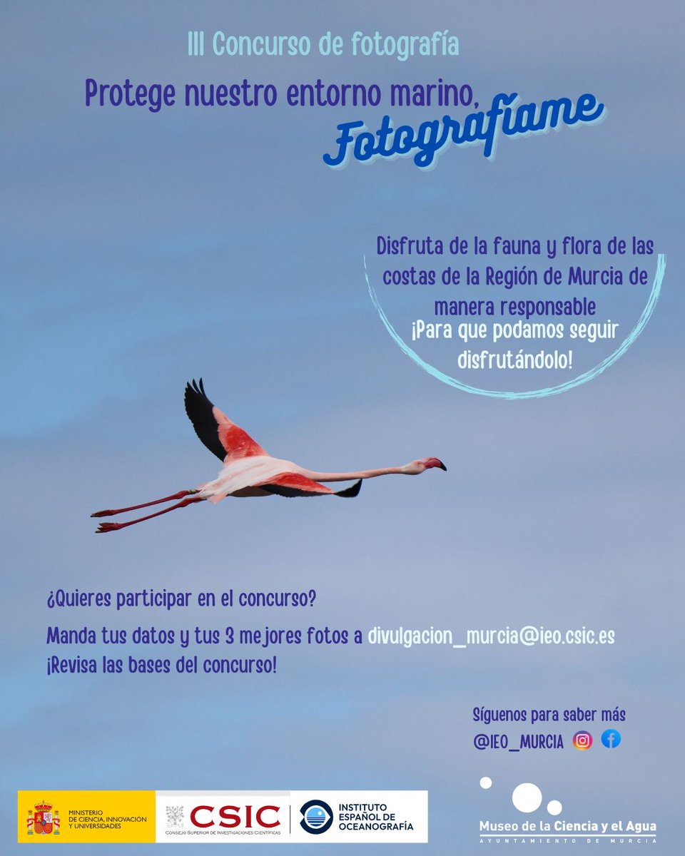 Museociencia's tweet photo. Este año colaboramos con el @ieo_murcia en el III Concurso de fotografía "Protege nuestro entorno marino, fotografíame". Toda la info aquí: https://t.co/nI79EDaor3