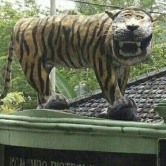 _imnotsatoshi's tweet photo. $TIFUN (Tiger Funny Coin) 
CA : BENCr5xztpfKTY7fS6uWPfZ6KeW5U6xMhWrnnWE5pump

Born from Indonesia's funniest viral tiger statue, TiFun proves that not every tiger has to be fierce. Sometimes, the biggest roar is laughter. #pumpfun #memecoin https://t.co/0rSzZkCs4W