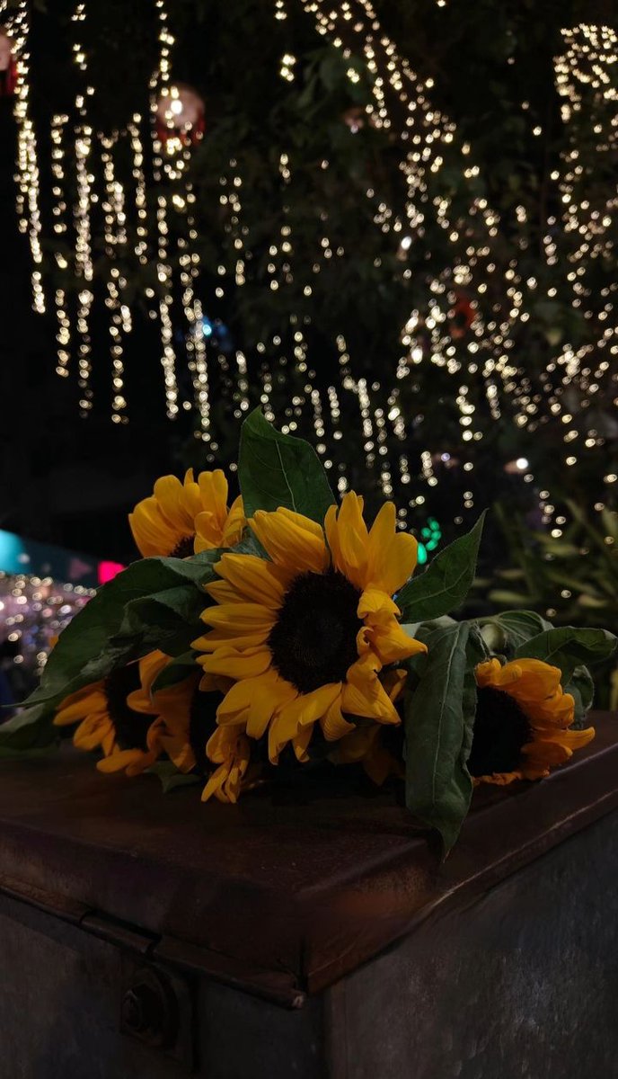 softpetalview's tweet photo. https://t.co/AJFbTsKxvX