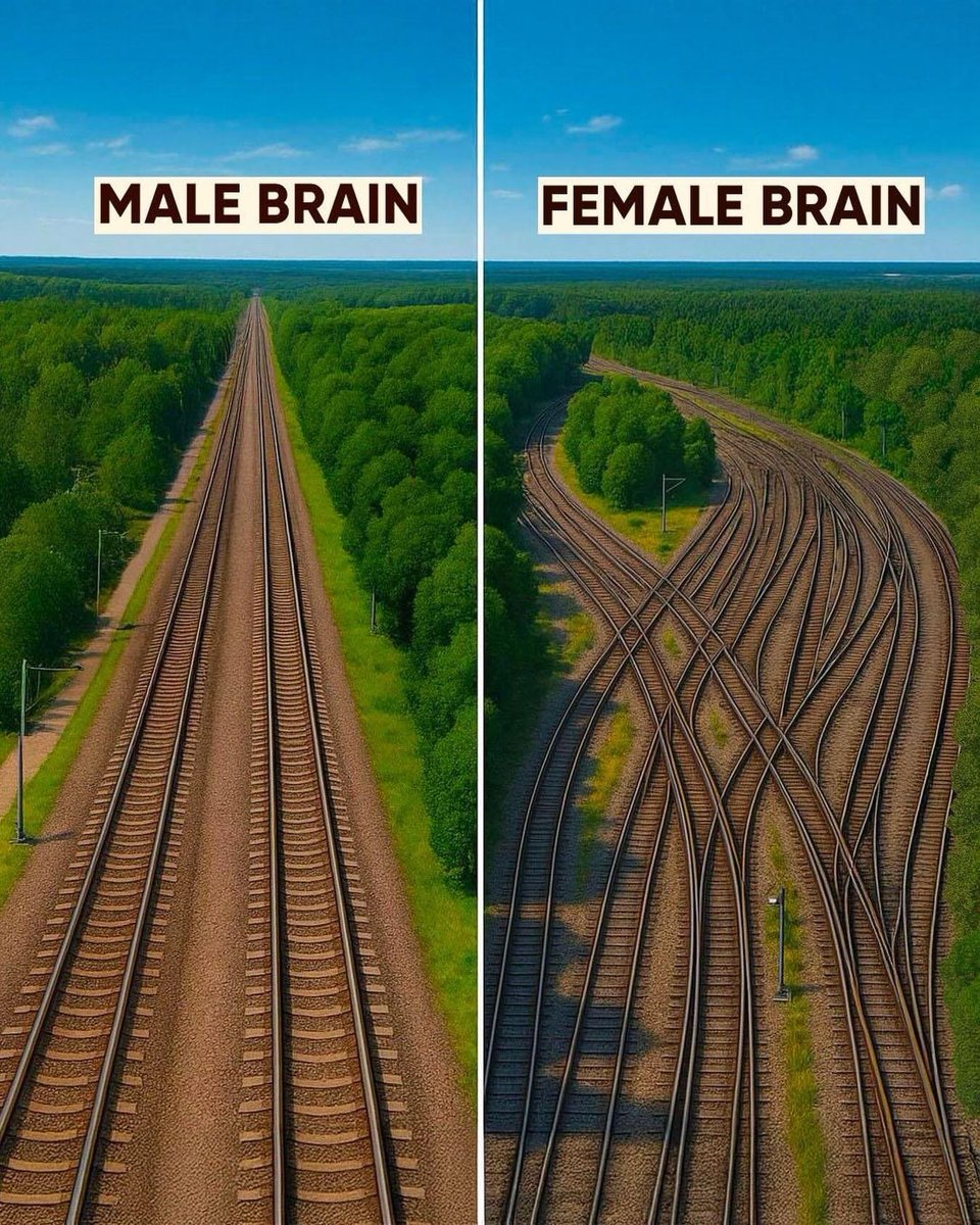 OhDear_Friend's tweet photo. When men vs women tell stories. https://t.co/5SzGhQ9IMn