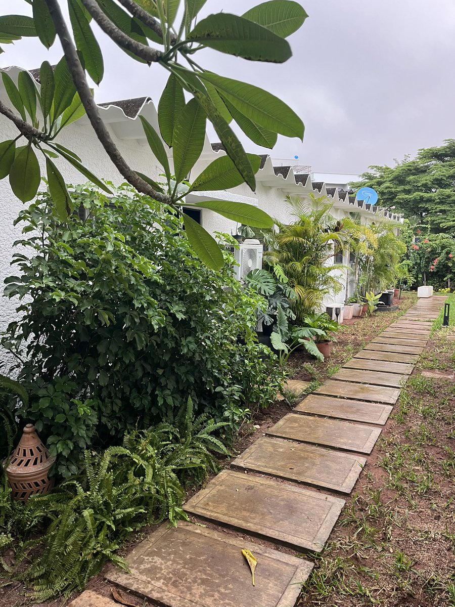 kabiyesitweets's tweet photo. The Garden House
Designed and built by @NANAcollective_ https://t.co/aHLMO6VqG9