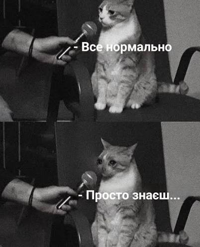 nickinprogres's tweet photo. @bxxXz3PuEQ9KIrX Дякую https://t.co/phbYc5rpJY