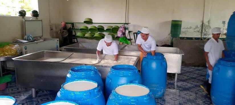 ADNNica's tweet photo. 🥛 MAG reporta acopio de 72.7 millones de galones de leche entre enero y mayo de 2026, con producción en más de 600 plantas lácteas y queseras artesanales del país. https://t.co/dI1Qnfaopi