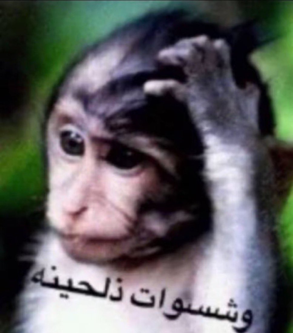 l8jee's tweet photo. https://t.co/qR3kY9gOge