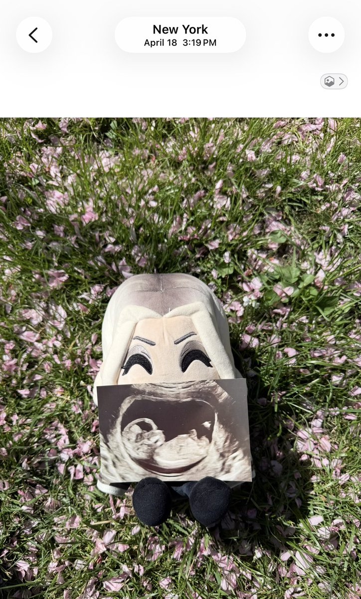 AishlingNYC's tweet photo. Anyway, I apologize for all the pregnancy posts. Reveals make me anxious, so I held this secret for months.  We visited many cherry blossom parks for my maternity shoot.  Brought my plushie along for separate pics. lol. These screenshots show I took them back in April. https://t.co/B9rqlpujQr