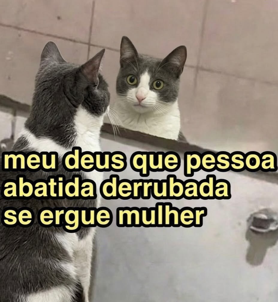 paginalixo1's tweet photo. https://t.co/jTP6zLW2r1