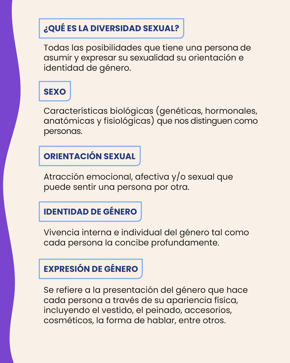 DDHQRO's tweet photo. 🌈 Los derechos humanos son para todas las personas, sin excepción.

Conoce algunos de los derechos que protegen a las personas LGBTQI+ y contribuyen a construir espacios más igualitarios, seguros y libres de discriminación.

#LaDignidadNosUne https://t.co/M2RZJ2ERq1