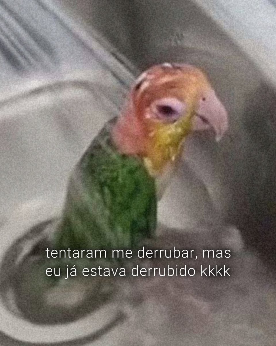 shitpostverdade's tweet photo. https://t.co/cSLEm9U2Lf