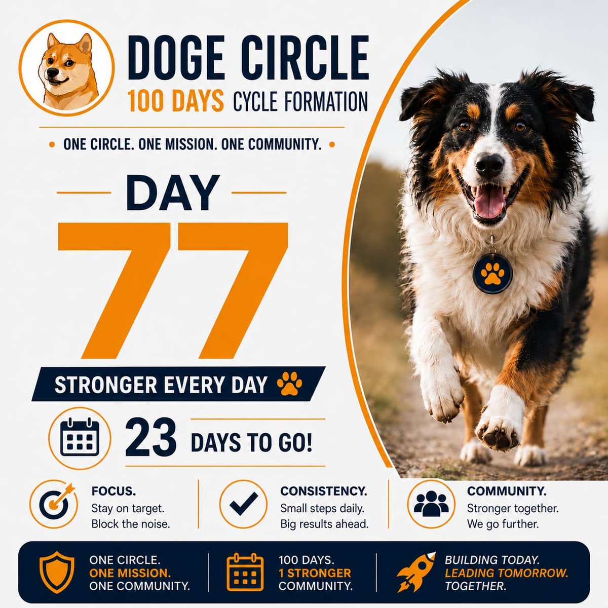 JuniorGrea99162's tweet photo. The best time to position in a great project is in th bear market.
Ensure you don't FOMO on DGC
Don't miss out on was coming.
CA:0x83f61E66f9A76Dd5d43F8C38215f39ECecfFD7e5
#Dogecircle https://t.co/SEjHX0kqyH
