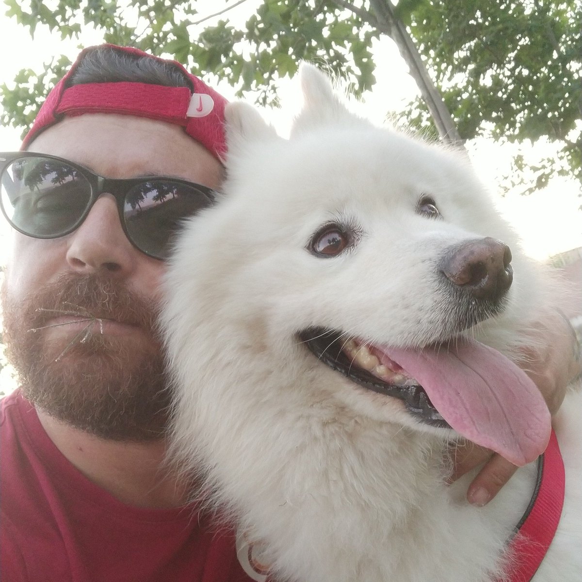 DusOnur's tweet photo. #YeniProfilResmi https://t.co/8d7QQnP9Ul