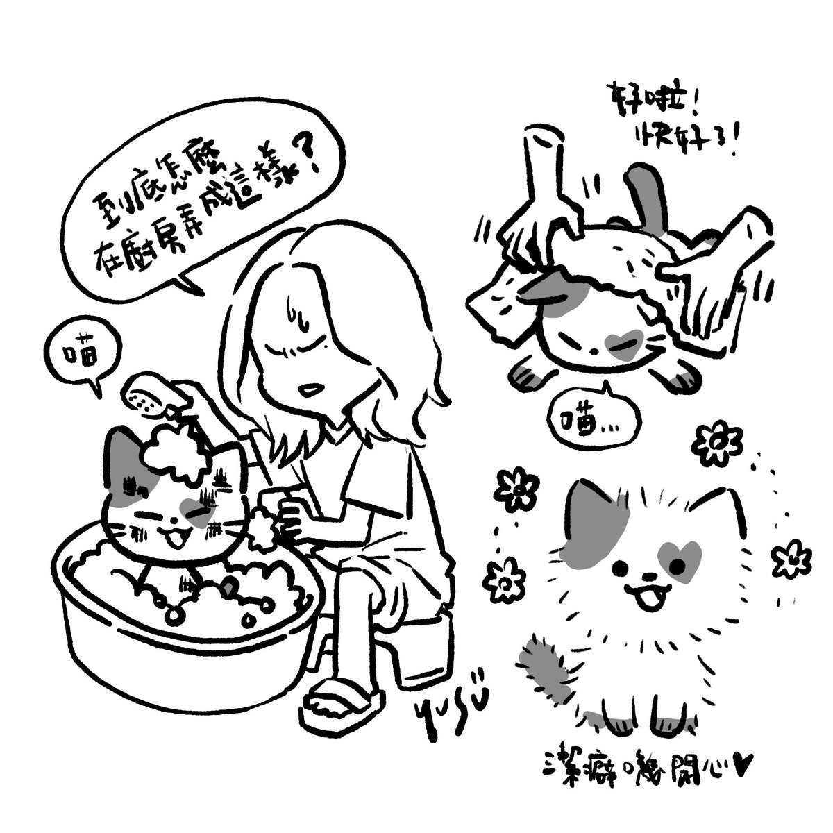 YusuWu's tweet photo. 那天有人給我的靈感
洗完澡吹澎的炸毛嘰（澎毛嘰）

洗的香香🌼的澎毛嘰 https://t.co/S0GPhDIDjF