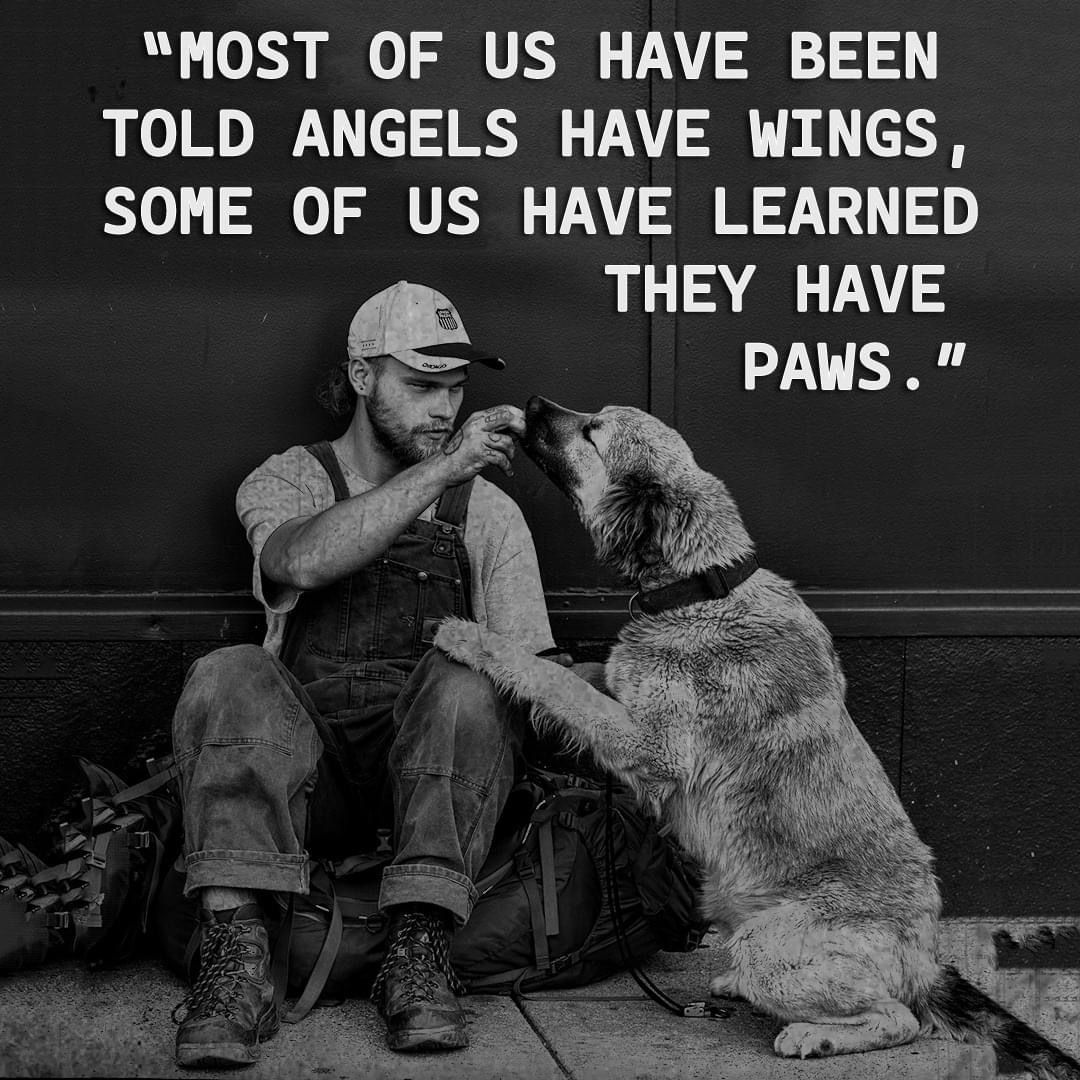 _XDogs's tweet photo. https://t.co/xnasd0UJLN