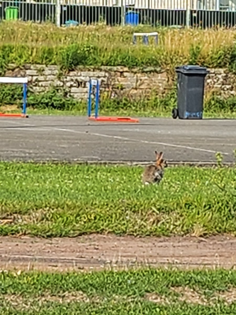 alpacaKookie's tweet photo. jungkook??? ale że już teraz pod stadionem kica?? https://t.co/Pl7PD5GFBX