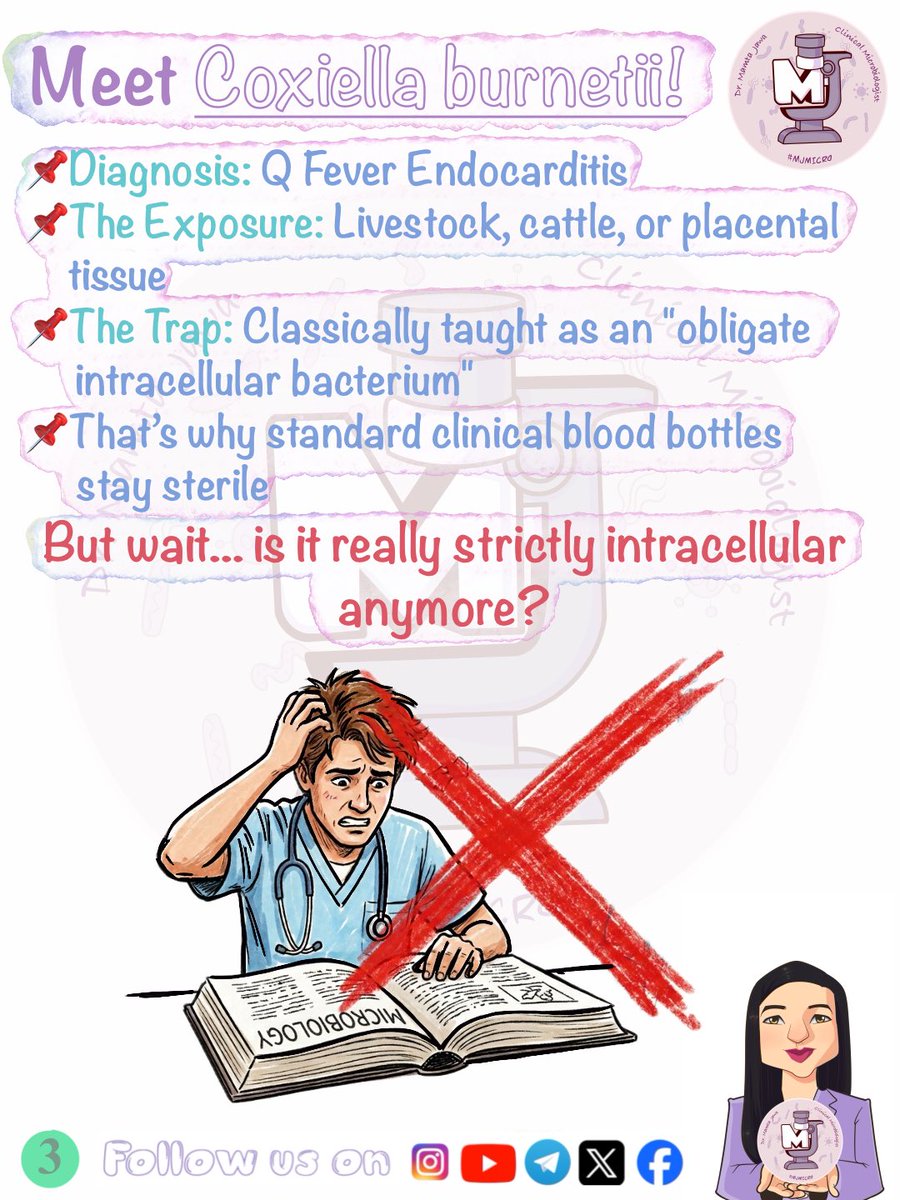 MJ_MICRO's tweet photo. Trapdoor Tuesday ✅🧿 (Slides 5-7 in comments)
#MamtaJawa #MJMICRO #MedTwitter #MedX #MedTwt #microtwitter #microbiology #neetpg #inicet #fmge #usmle #mbbs https://t.co/iIHeAE7E3J