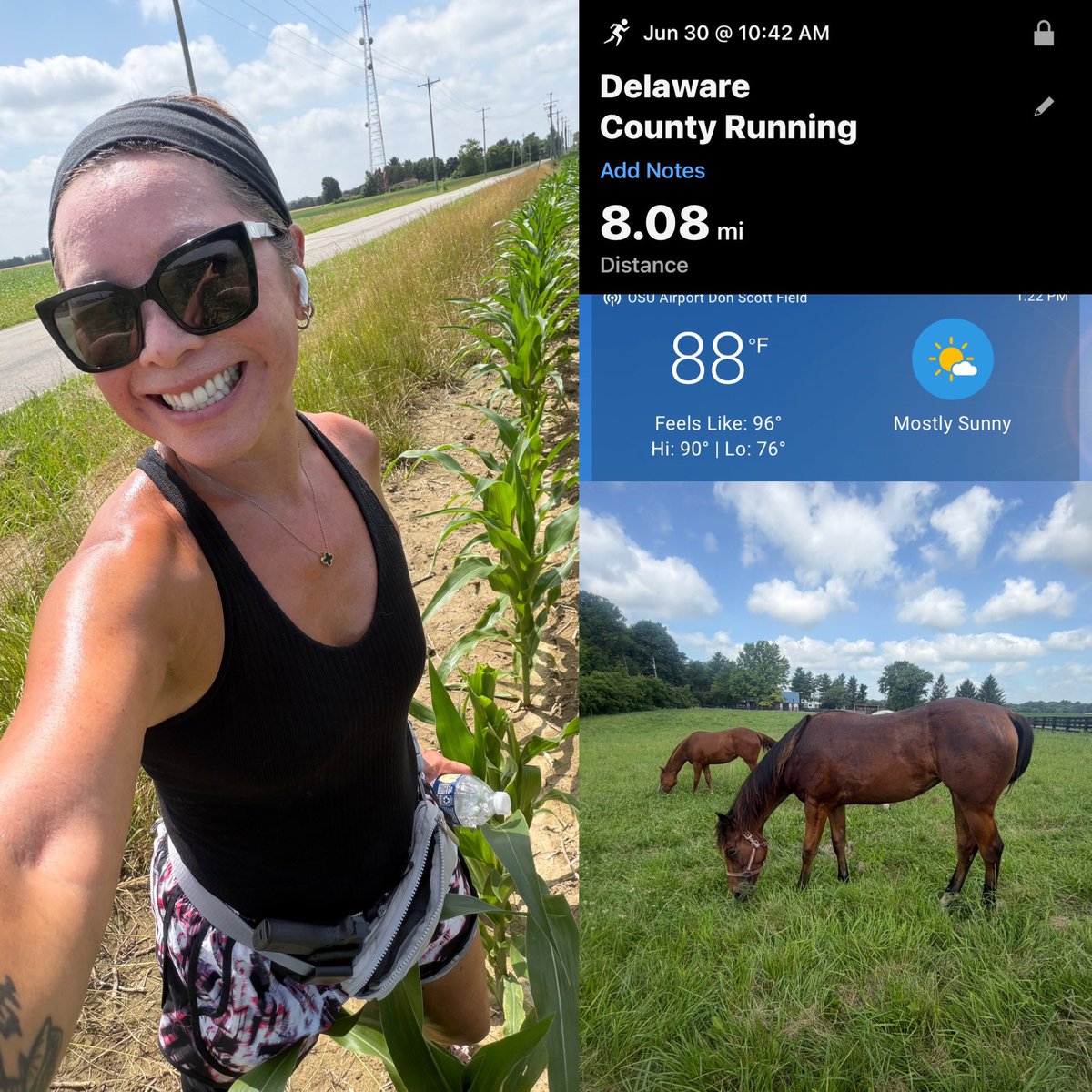 asianposh2022's tweet photo. It’s a lil bit on the warm side! Ran my #8miles ☀️🥵
Stopped to say hey to my neighborhood horses. Also took a pic of the unique corn 🌽 stalk.  Felt like it was speaking me! In a world full of normies…. Be the lil bit EXTRA 😉 https://t.co/6rde9pB11S