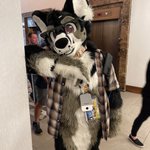 Photo by Hunter Husky (@HunterDaHusky)