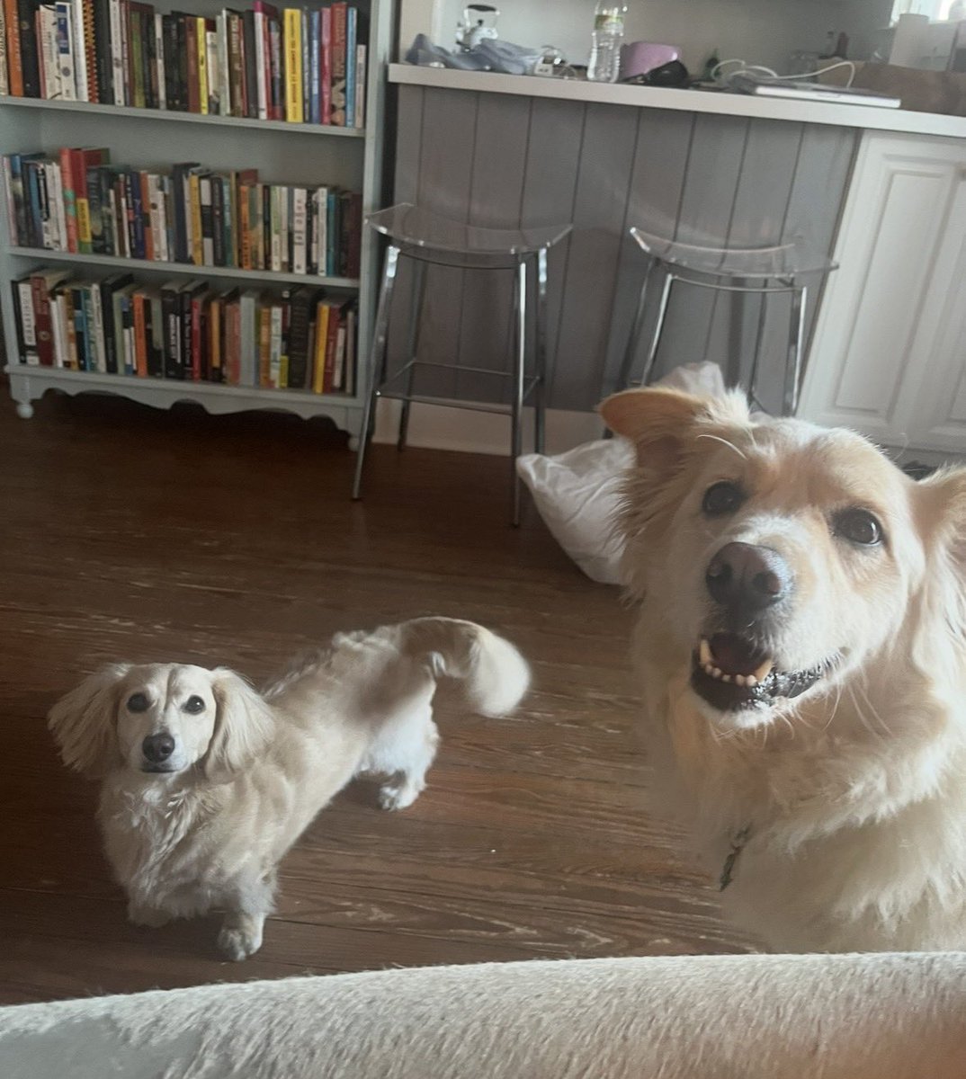 lady_tara's tweet photo. I see dumbies this weekend !!! Stinky Cousin !! https://t.co/DI5kxGqBMv