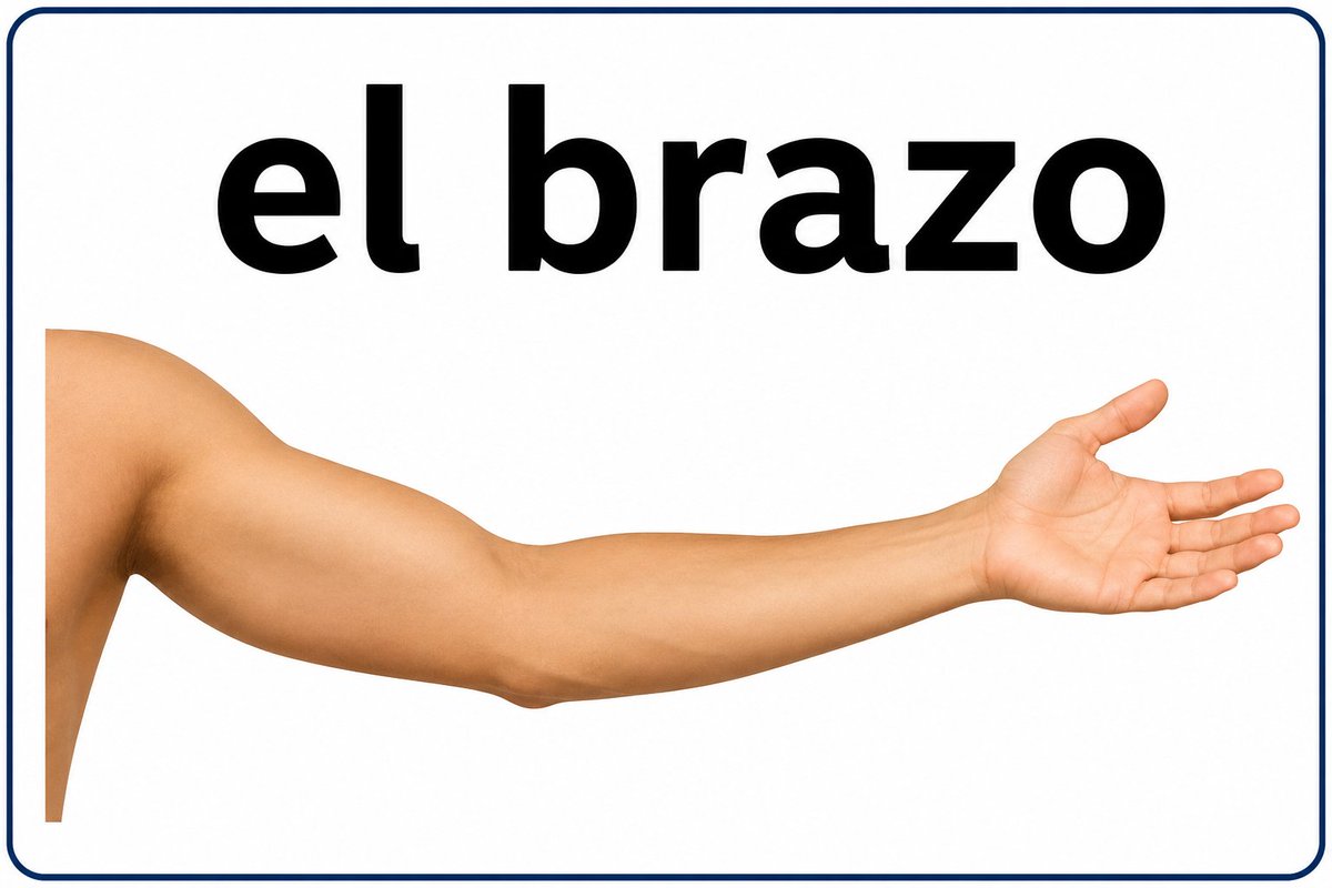 Rotejeda01's tweet photo. @gomazlan @thepompsamg @Jose989 @marcmarquez93 El brazo. https://t.co/jZlZRSTulM
