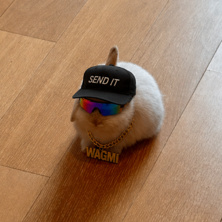 normienewton's tweet photo. This bunny has gone viral with over 2.5k likes in the past 24hrs.

It looks like it has a middle finger on its head.

The trenches need a fuck you runner that can actually push ceilings higher for memes.

And the trenches has never had a bunny runner.

Perfect narrative to make memes great again.