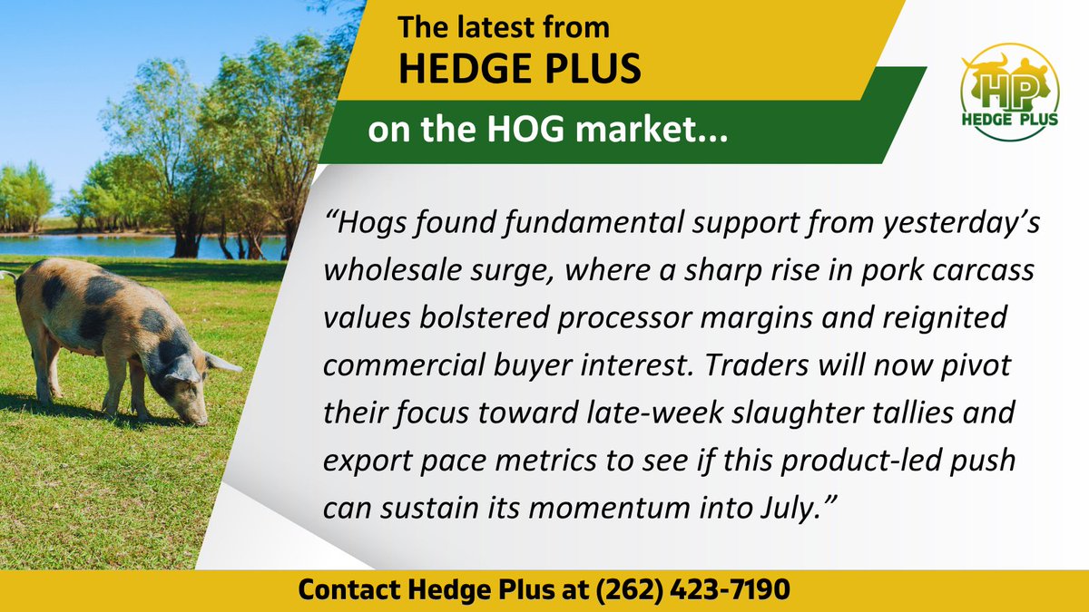 HedgePlusWI's tweet photo. An increasingly rare two day winning streak for hogs...

August hogs added 92.5 cents to finish up the day at $98.20 https://t.co/POzy0CJoX7