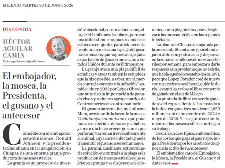ferbelaunzaran's tweet photo. Impecable texto de @aguilarcamin.

Con 🍐🍐y🍎🍎 demuestra la nociva herencia de López Obrador que carga Claudia Sheinbaum.

La misma historia se repite en muchos, variados e importantes temas:

El embajador, la mosca, la Presidenta, el gusano y el antecesor https://t.co/qZGDNJawwS