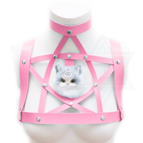 devil666ish's tweet photo. Kitten magic harness
https://t.co/FeZYfDs4Ob https://t.co/Z2xfJB543k