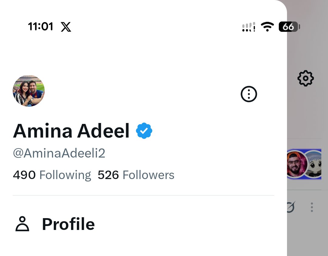 Amina Adeel tweet media
