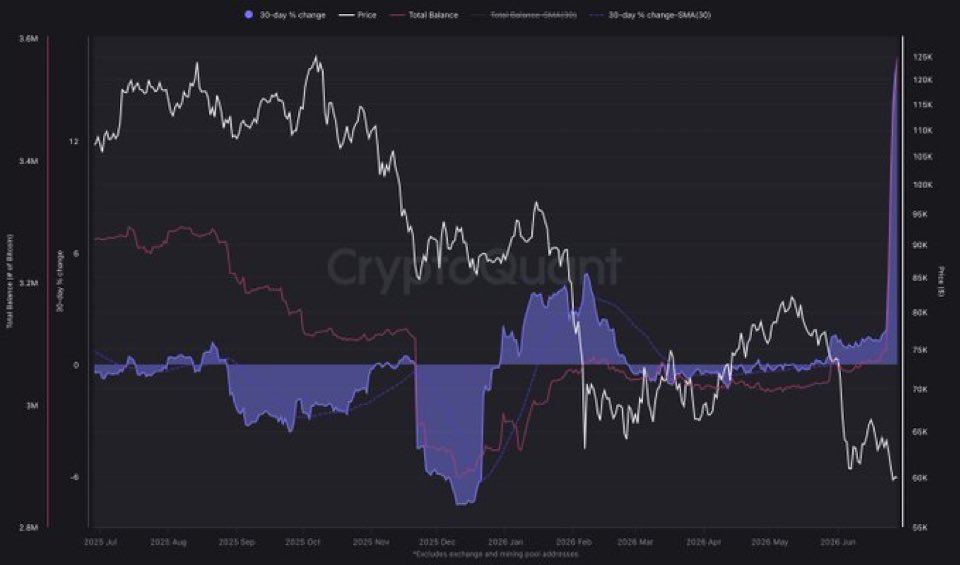 scottmelker's tweet photo. Largest spike in whale holdings of Bitcoin. 

Ever. https://t.co/MXkjsi1mlM