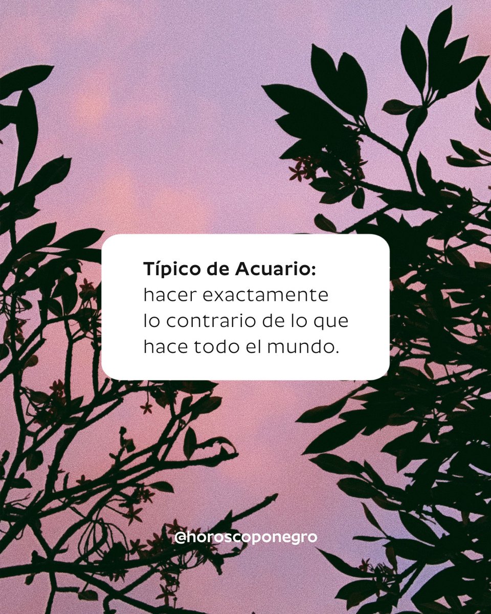 acuario_hn's tweet photo. ¿Algo más típico que esto? ✨🔮 https://t.co/JapsOUcwDK