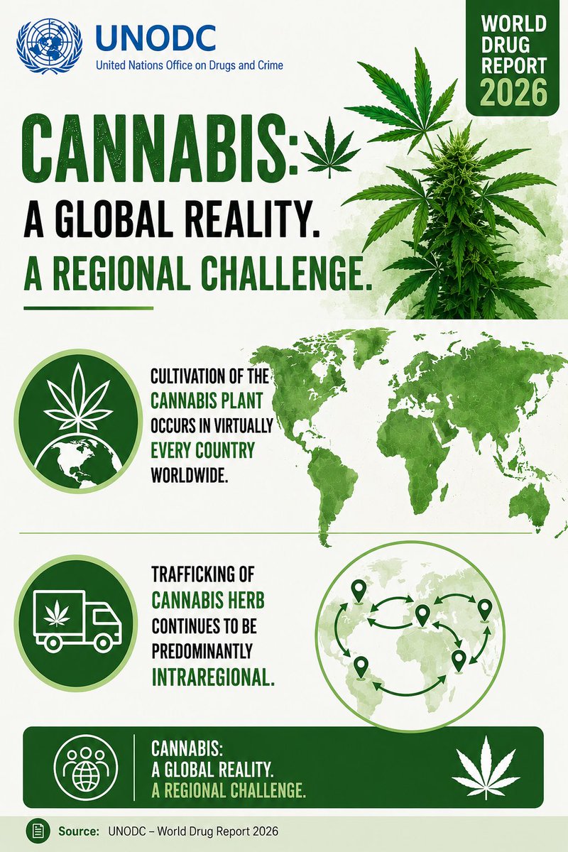 CaptainMarxRuso's tweet photo. Cannabis: Global Cultivation, Intraregional Trafficking 
@UNODC_OrgCrime @UNODC_ROSA @GI_TOC @ECPR_SGOC @narcoticsbureau https://t.co/V2kTYo6Wk4